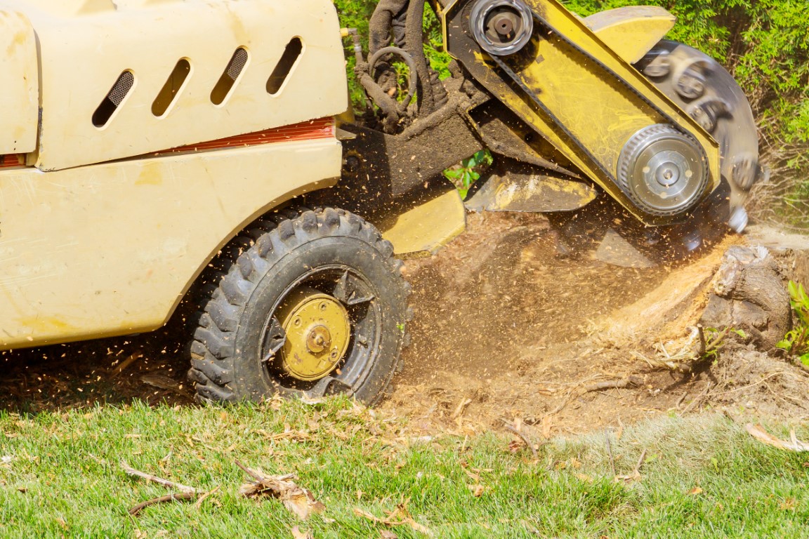 stump grinding south florida